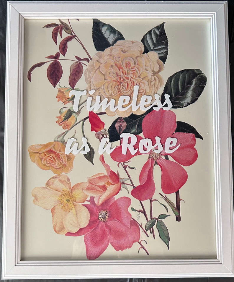 framed image of multiple roses in shades of pink and peach with inspirational quote
